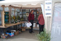 Noxious Weed display